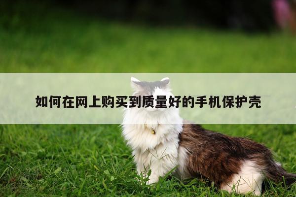 如何在网上购买到质量好的手机保护壳_凯发网站