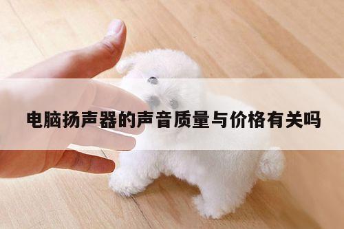 凯发k8官网入口：电脑扬声器的声音质量与价格有关吗