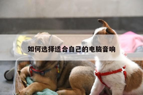 凯发k8官方_如何选择适合自己的电脑音响