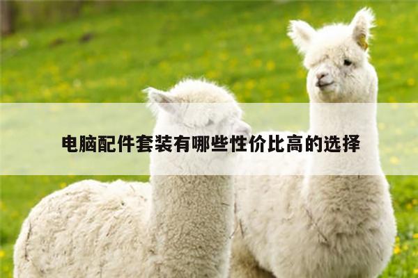 电脑配件套装有哪些性价比高的选择：凯发网站