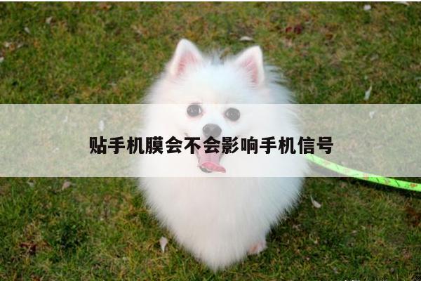 贴手机膜会不会影响手机信号：凯发k8官方