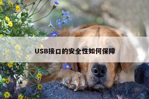 凯发网站：USB接口的安全性如何保障