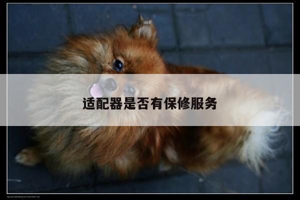 【凯发k8官方】适配器是否有保修服务