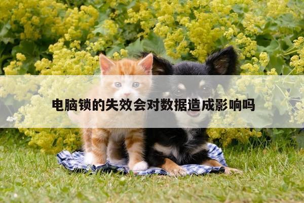 【凯发k8官网入口】电脑锁的失效会对数据造成影响吗