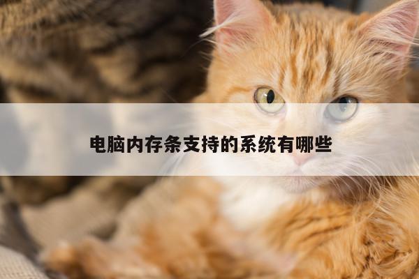电脑内存条支持的系统有哪些_凯发k8官方
