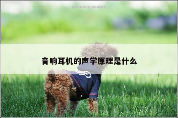 【凯发k8官网入口】音响耳机的声学原理是什么