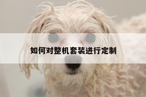 如何对整机套装进行定制：凯发k8官网入口
