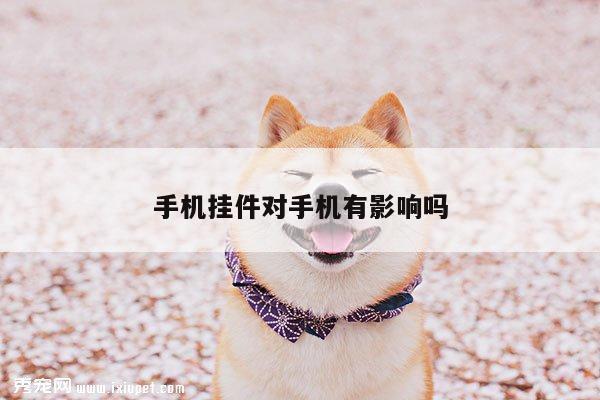 凯发k8官方：手机挂件对手机有影响吗