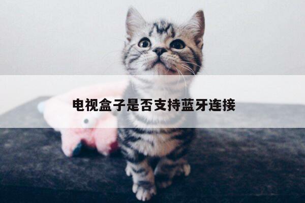 电视盒子是否支持蓝牙连接：凯发k8官方