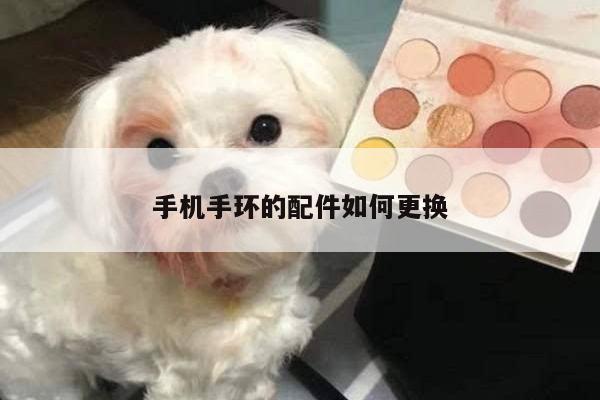 手机手环的配件如何更换_凯发k8官网入口