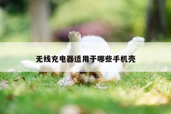 凯发网站:无线充电器适用于哪些手机壳