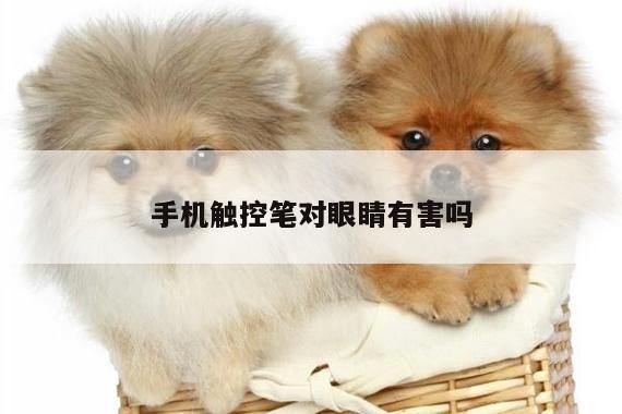 手机触控笔对眼睛有害吗|凯发k8官方