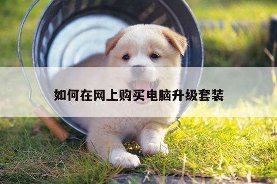 如何在网上购买电脑升级套装-凯发k8官网入口