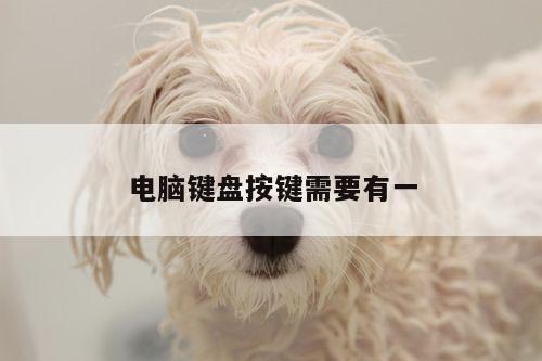 电脑键盘按键需要有一_凯发网站