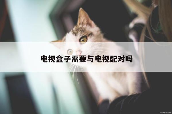 电视盒子需要与电视配对吗【凯发k8官方】