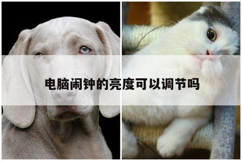 【凯发网站】电脑闹钟的亮度可以调节吗