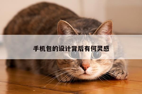 手机包的设计背后有何灵感_凯发网站