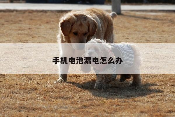 手机电池漏电怎么办:凯发k8官方