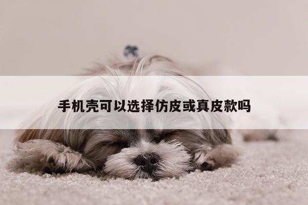 手机壳可以选择仿皮或真皮款吗_凯发k8官网入口