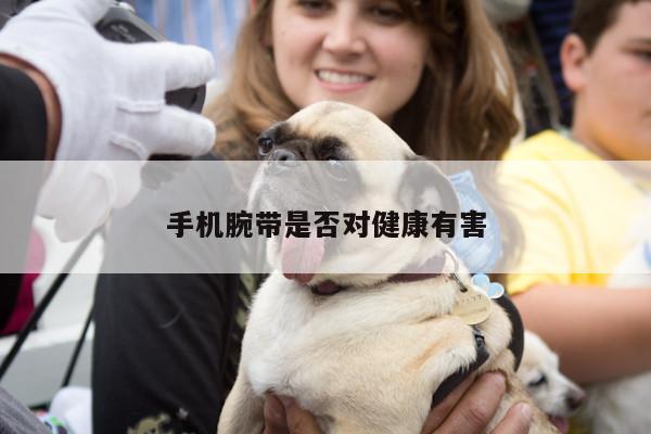 凯发k8官方_手机腕带是否对健康有害