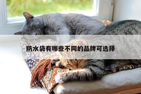 防水袋有哪些不同的品牌可选择【凯发网站】