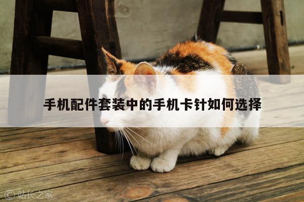 手机配件套装中的手机卡针如何选择【凯发k8官方】
